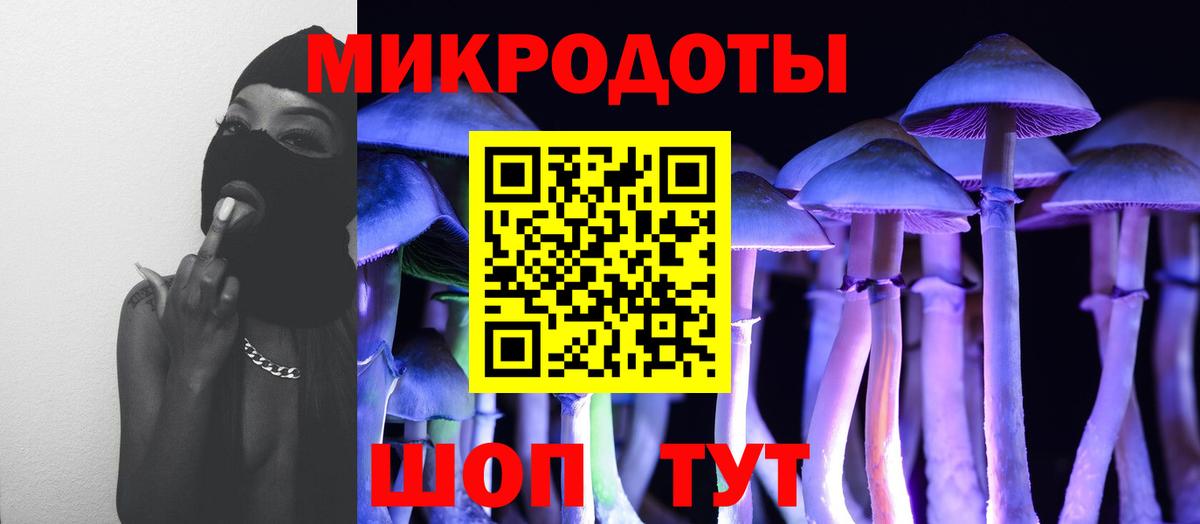 купить закладку  Псилоцибиновые грибы мухоморы  Галлюциногенные грибы GOLDEN TEACHER  Вход с VPN  Анапа 